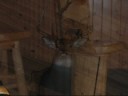 Monter a moose valey Monter a moose valey