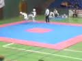 Herzin vs Daniel Lundquist Herzin vs Daniel Lundquist