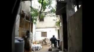 اللاجؤون الفلسطينيون في لبنان مخيم مار الياس ....1