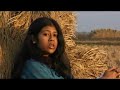 Ude Jay Dhanpakhi