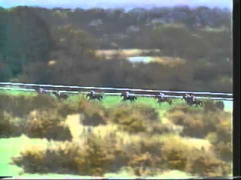 racing results cheltenham