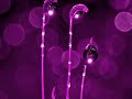 Feelings ( music Adagio by Tomaso Albinoni ) Feelings ( music Adagio by Tomaso Albinoni )
