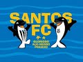 Santos Futebol Clube