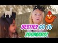 Everleigh dislikes LOL ROOSTER? Ava loves NEW PUPPY!