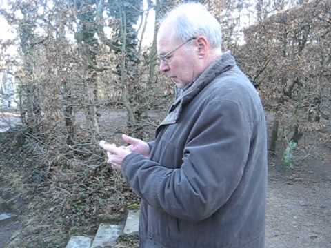 See video