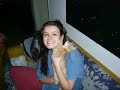 in loving memory of my cat Sam in loving memory of my cat Sam