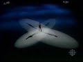 Brian Orser 1994 CSOI Deeply Dippy