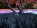 EtaTS D ame EN ce JOur D aUtomnE°°°°°