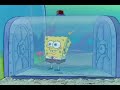 To Catch A Predator Spongebob Edition To Catch A Predator Spongebob Edition