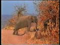 Tanzania