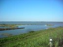 Fiume Reno / Valli di Comacchio
