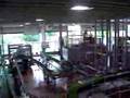 Jever Brauerei