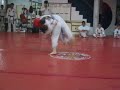 Hapkido Kids Sparring
