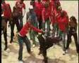Patrouilles Des Stars Authentique - Tour 2 Controle
