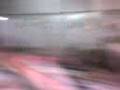 ineptos y violencia escolarXD cantmaos mal?