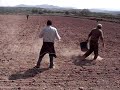 Marcando un campo para plantar una viña