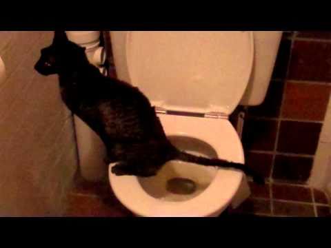 peeing