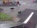 mad dogs in nairn