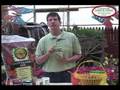 Behind the Garden Gate - Planting Containers