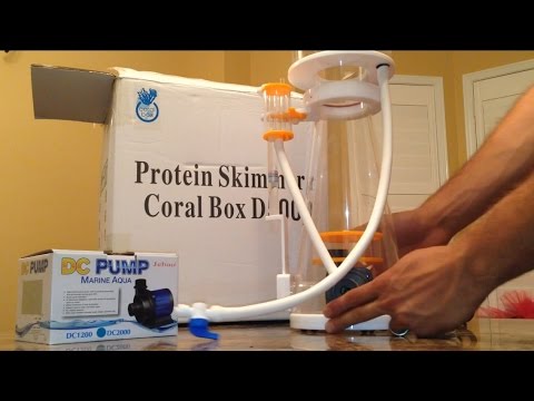 how to adjust protein skimmer