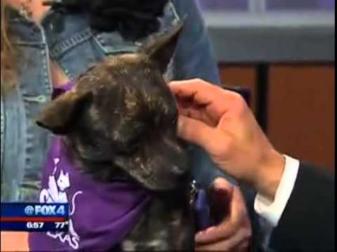 Kendell visits Good Day FOX 4
