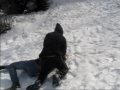 Felix i Naturen #4 - Den Skånska Yetin Felix i Naturen #4 - Den Skånska Yetin