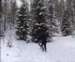 Felix i Naturen #4 - Den Skånska Yetin
