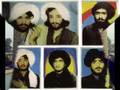 The pathans
