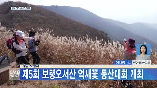 [CMB 5시뉴스]충남 보령시, 제5회 보령오서산 억새꽃 등산대회 개최