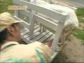 Erika Toda - Milking ~恵梨香の乳搾り~