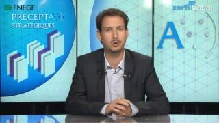 My video about alliance portfolios on Xerfi Canal