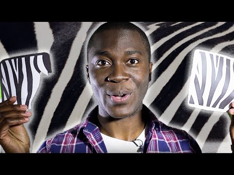 Why are Zebras stripy? - Zoo La La (Ep 2) - Earth Unplugged