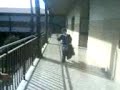 ida a narnia.. la vuelta media atrasada eso si k9!