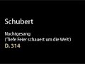 Schubert D 314 Nachtgesang ('Tiefe Feier schauert um die Welt').wmv