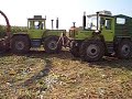 Corn Cutting with MB Trac Corn Cutting with MB Trac