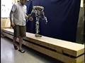 Tad McGeer's passive dynamic robots