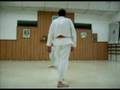 Aikido Dojo Villa Luro - Examen 3º Kyu Nicolás Molina Parte 2