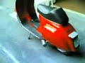 una vespa molto pepata e pungente