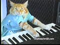 OFFICIAL keyboard cat shirts  stuff at www.zazzle.com app at iphonekeyboardcat.com Charlie has released new shocking footage of Fatso, the now famous keyboard cat. See Fatso's true personality revealed in this unedited personal footage. Cool stuff at http charlieschmidt.com playhimoffkeyboardcat.com
