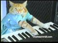 keyboard cat SHOCKING NEW FOOTAGE!