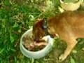 Kukin cumple 14 años