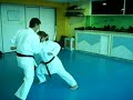 yakussoku-kumite-zenkutsu-dachi-seigokan.html