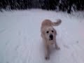VIDEO0003