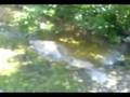 videos de Natural Spa Walk.mpg