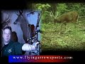 FLYING ARROW SPORTS