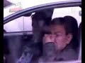 el trovador urbano