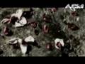 Skillet - Whispers In the Dark.mpg