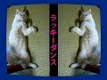ｗラッキーダンス♪