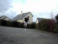 a.c socer freestyle 3
