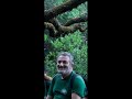 Video screenshot